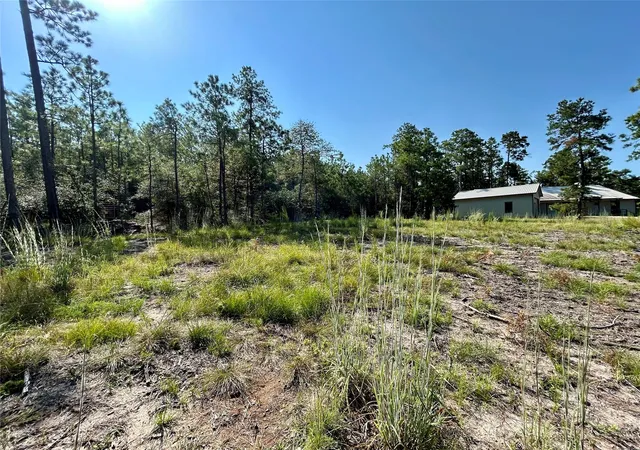 Photo 3 of Land for sale at 151 Ashbrook Ln, Brookeland, TX 75931 | MLS# 36519343 | Listing updated on 2026-09-07