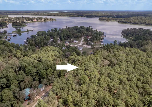 Land for sale at Tbd Forest Crk Dr, Huntsville, TX 77320 | MLS# 34533439