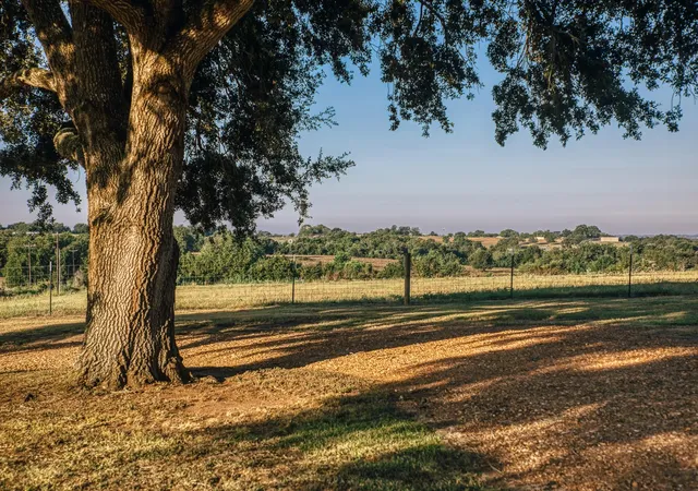 Photo 2 of Sale Pending at 500 Pleasant Hl School Rd, Brenham, TX 77833 | MLS# 58614311 | Listing updated on 2026-09-26