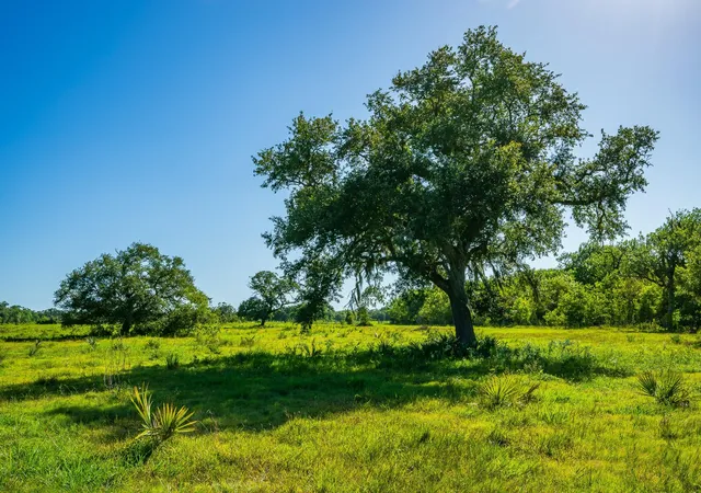 Land for sale at 700 Cr 700, Brazoria, TX 77422 | MLS# 10692135