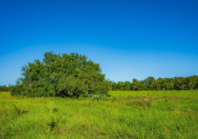 Photo 3 of Land for sale at 700 Cr 700, Brazoria, TX 77422 | MLS# 10692135 | Listing updated on 2026-10-07