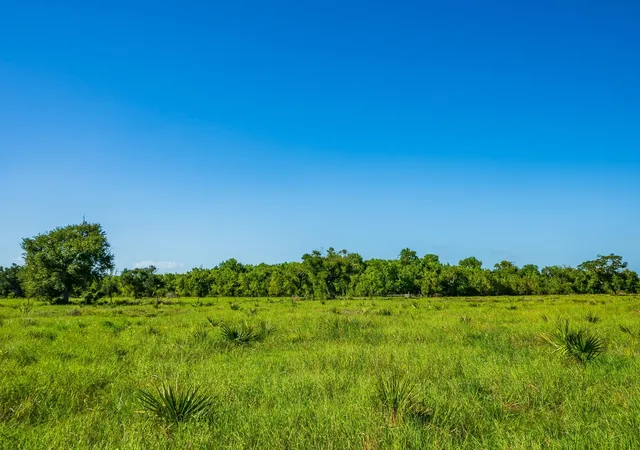 Photo 4 of Land for sale at 700 Cr 700, Brazoria, TX 77422 | MLS# 10692135 | Listing updated on 2026-10-07