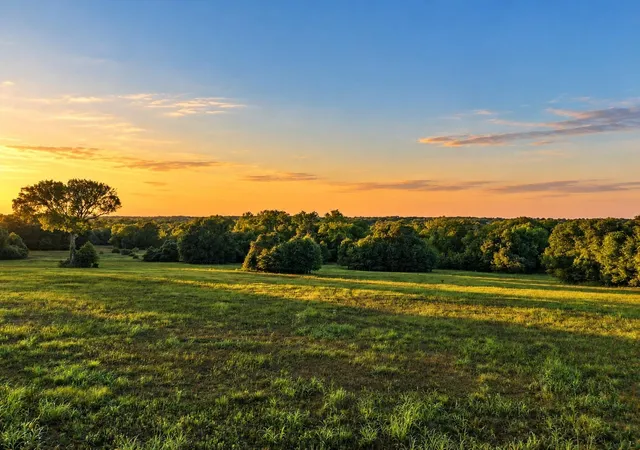 Land for sale at 10277 Mt Fls School Rd, Washington, TX 77880 | MLS# 52337402