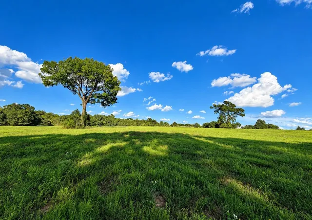 Photo 3 of Land for sale at 10277 Mt Fls School Rd, Washington, TX 77880 | MLS# 52337402 | Listing updated on 2026-09-23