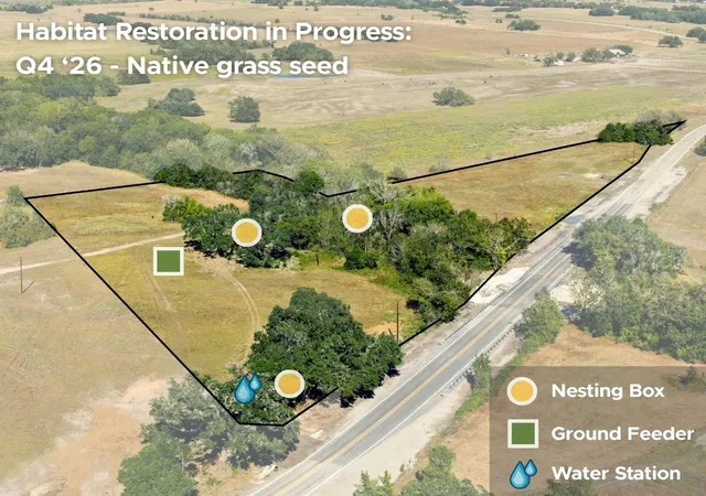 Photo 3 of Land for sale at 2763 Fm 956, Schulenburg, TX 78956 | MLS# 20270479 | Listing updated on 2026-09-10