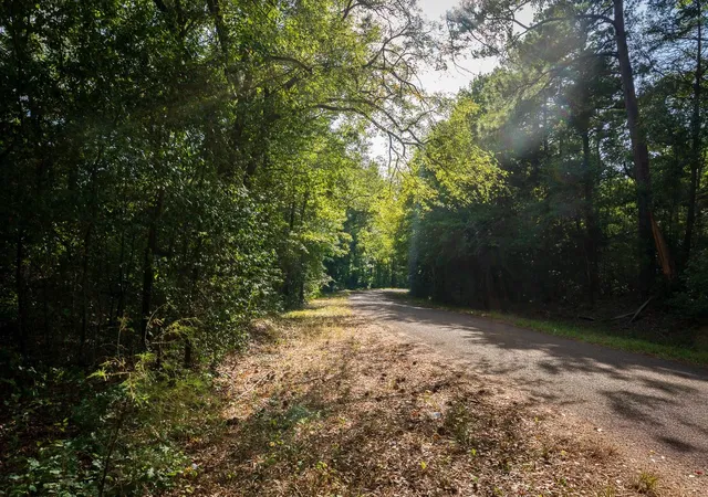 Photo 1 of Land for sale at Tbd Fm 343, Rusk, TX 75785 | MLS# 28404768 | Listing updated on 2026-09-09
