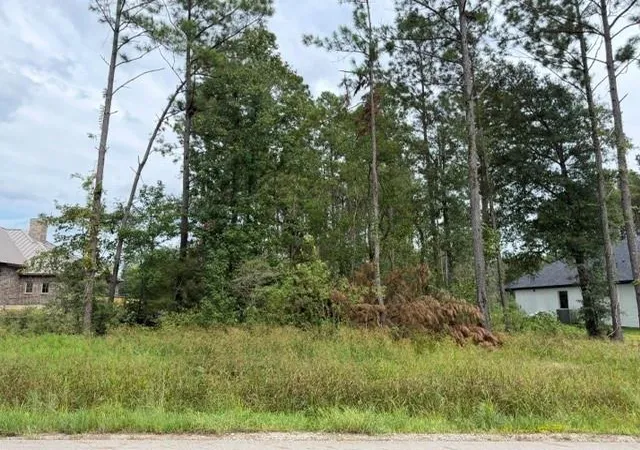 Photo 3 of Land for sale at 1216 Road 6604, Dayton, TX 77535 | MLS# 95594354 | Listing updated on 2026-09-03