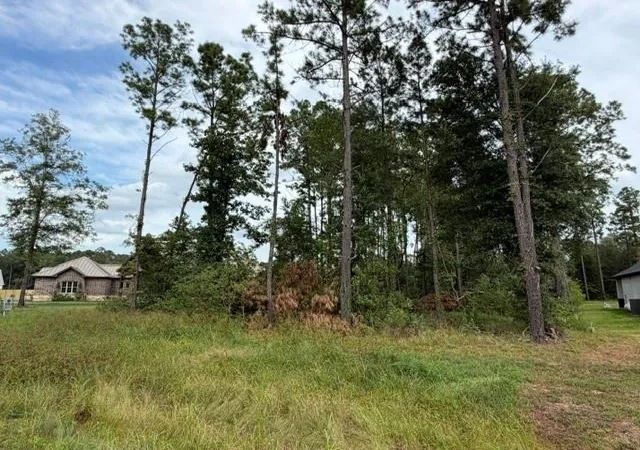 Photo 4 of Land for sale at 1216 Road 6604, Dayton, TX 77535 | MLS# 95594354 | Listing updated on 2026-09-03