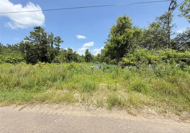 Land for sale at 528 Co Rd 823, Buna, TX 77612 | MLS# 16545607