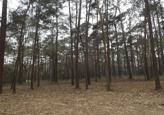 Photo 1 of Land for sale at 24018 Crooked Crk, Hockley, TX 77447 | MLS# 44096054 | Listing updated on 2026-09-08
