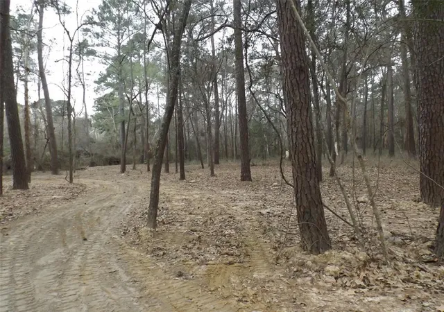 Photo 3 of Land for sale at 24018 Crooked Crk, Hockley, TX 77447 | MLS# 44096054 | Listing updated on 2026-09-08