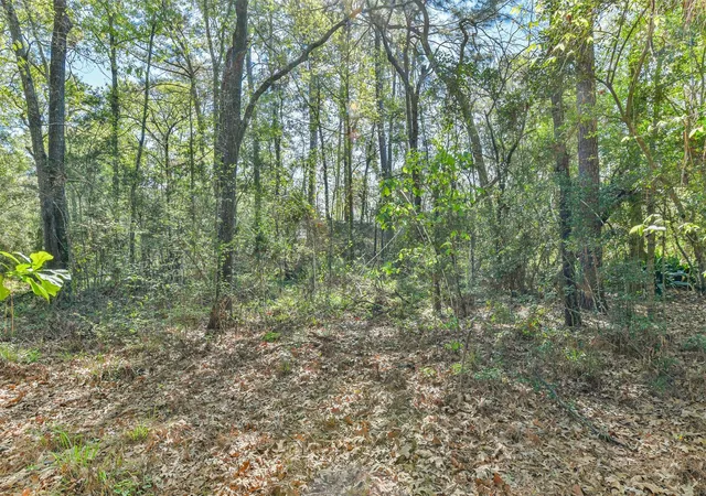 Photo 2 of Land for sale at 1811 Black Bear Dr, Crosby, TX 77532 | MLS# 69268121 | Listing updated on 2026-09-11