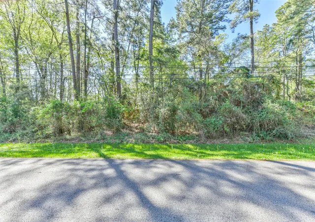 Photo 3 of Land for sale at 1811 Black Bear Dr, Crosby, TX 77532 | MLS# 69268121 | Listing updated on 2026-09-11
