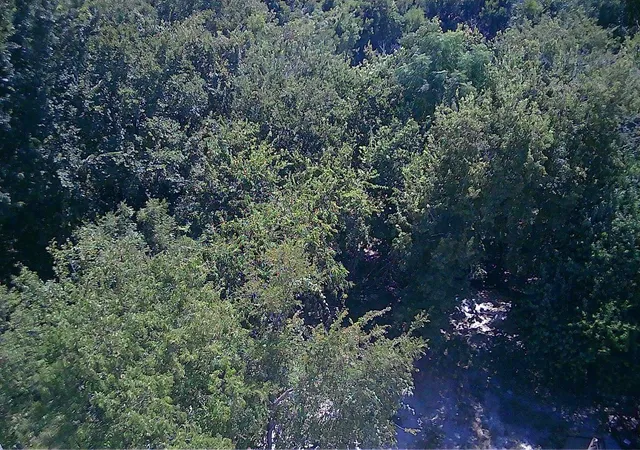 Photo 4 of Land for sale at 112 S 38th Street, Killeen, TX 76543 | MLS# 25333768 | Listing updated on 2026-09-20