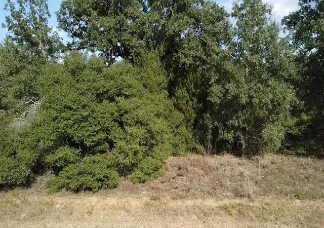 Photo 2 of Land for sale at Tbd Pin Oak, Normangee, TX 77871 | MLS# 89031243 | Listing updated on 2026-09-03