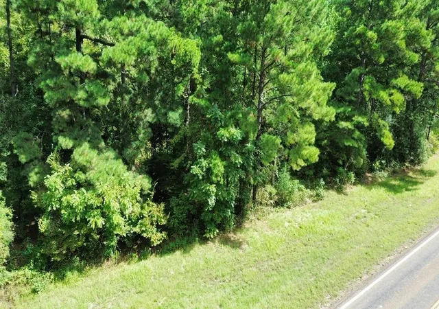 Photo 4 of Land for sale at 6000 Highway 63 W, Wiergate, TX 75977 | MLS# 61849217 | Listing updated on 2026-09-14