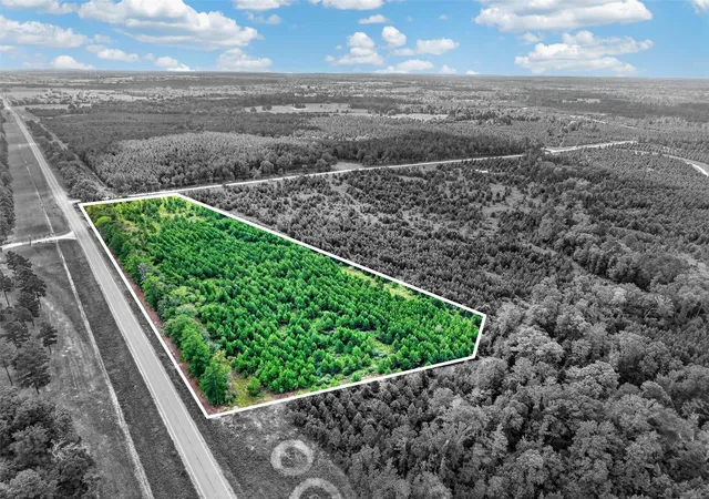 Photo 1 of Land for sale at Lot #1 Fm 1280 / Trinity Trl, Lovelady, TX 75851 | MLS# 45095055 | Listing updated on 2026-09-14