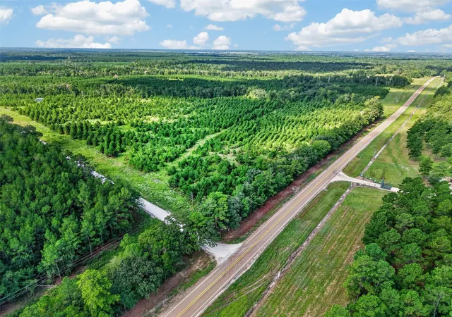 Photo 3 of Land for sale at Lot #1 Fm 1280 / Trinity Trl, Lovelady, TX 75851 | MLS# 45095055 | Listing updated on 2026-09-14