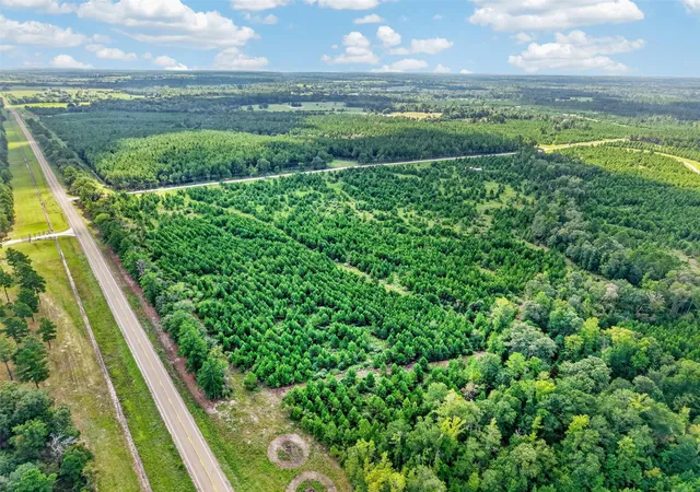 Photo 3 of Land for sale at Lot #1 Fm 1280 / Trinity Trl, Lovelady, TX 75851 | MLS# 45095055 | Listing updated on 2026-09-14