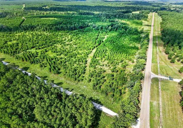 Photo 4 of Land for sale at Lot #1 Fm 1280 / Trinity Trl, Lovelady, TX 75851 | MLS# 45095055 | Listing updated on 2026-09-14
