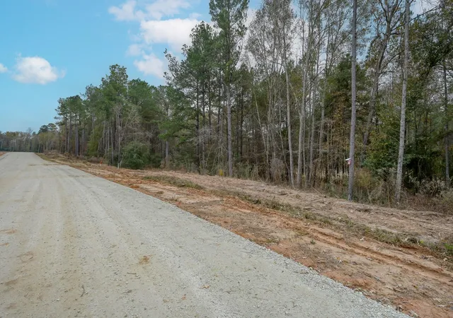 Photo 1 of Land for sale at 132 Heartland Rd, New Waverly, TX 77358 | MLS# 44808598 | Listing updated on 2026-09-13