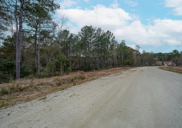 Photo 3 of Land for sale at 132 Heartland Rd, New Waverly, TX 77358 | MLS# 44808598 | Listing updated on 2026-09-13