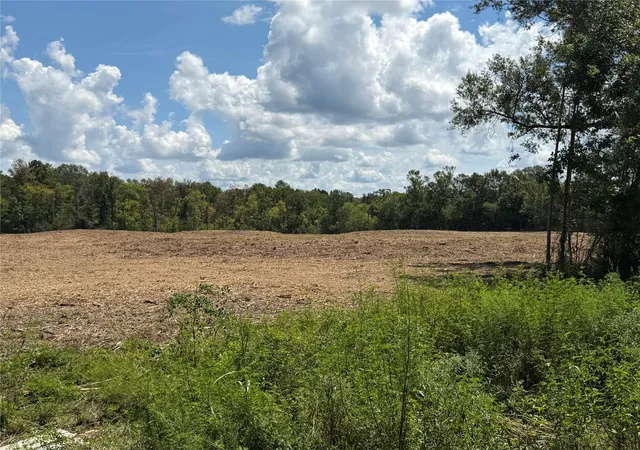 Land for sale at 1575 Highway 96 S, San Augustine, TX 75972 | MLS# 54331914