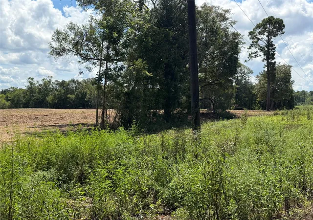 Photo 1 of Land for sale at 1575 Highway 96 S, San Augustine, TX 75972 | MLS# 54331914 | Listing updated on 2026-09-10
