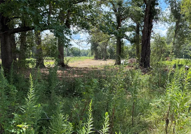 Photo 2 of Land for sale at 1575 Highway 96 S, San Augustine, TX 75972 | MLS# 54331914 | Listing updated on 2026-09-10