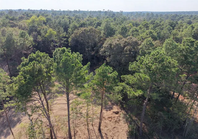 Photo 4 of Single family home for sale at Tbd Stillwater Cvs Ct, Montgomery, TX 77356 | MLS# 62751251 | Listing updated on 2026-09-16