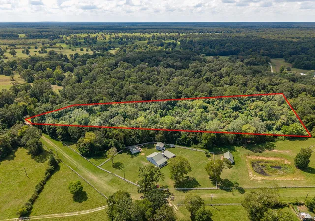 Photo 1 of Land for sale at Tbd Winding Crk Dr, Shepherd, TX 77371 | MLS# 79241998 | Listing updated on 2026-09-18