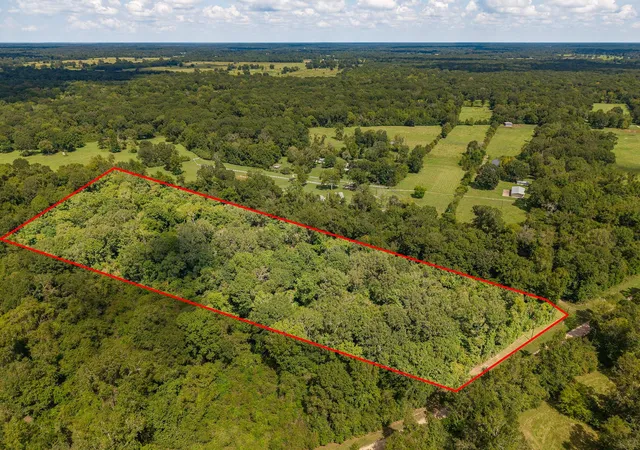 Photo 3 of Land for sale at Tbd Winding Crk Dr, Shepherd, TX 77371 | MLS# 79241998 | Listing updated on 2026-09-18