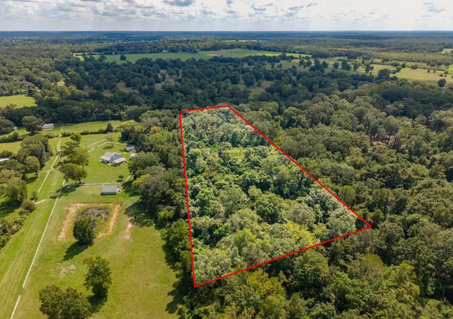 Photo 4 of Land for sale at Tbd Winding Crk Dr, Shepherd, TX 77371 | MLS# 79241998 | Listing updated on 2026-09-18