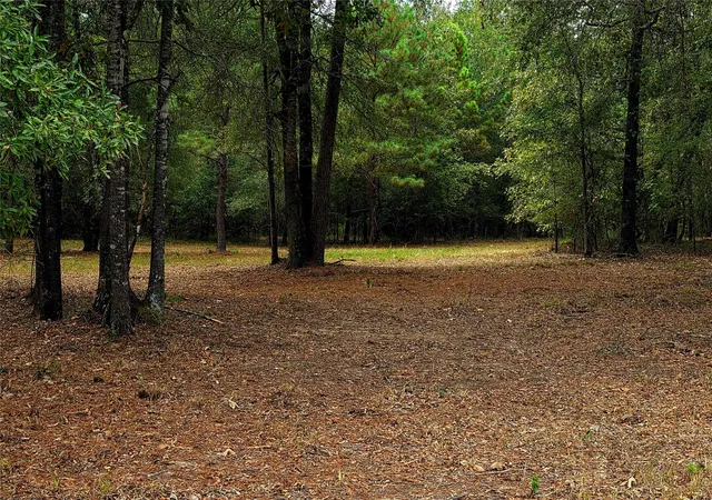 Land for sale at Lot 4 Hidden Cvs Rd, Point Blank, TX 77364 | MLS# 25286208