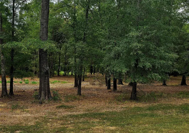 Photo 1 of Land for sale at Lot 4 Hidden Cvs Rd, Point Blank, TX 77364 | MLS# 25286208 | Listing updated on 2026-09-01