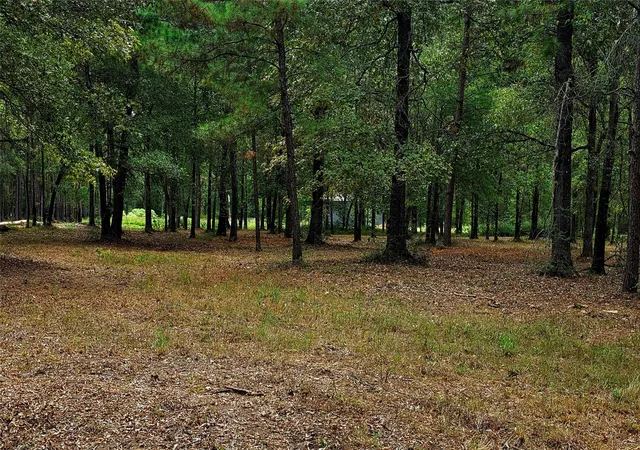 Photo 2 of Land for sale at Lot 4 Hidden Cvs Rd, Point Blank, TX 77364 | MLS# 25286208 | Listing updated on 2026-09-01
