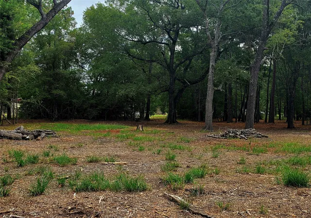 Photo 3 of Land for sale at Lot 4 Hidden Cvs Rd, Point Blank, TX 77364 | MLS# 25286208 | Listing updated on 2026-09-01