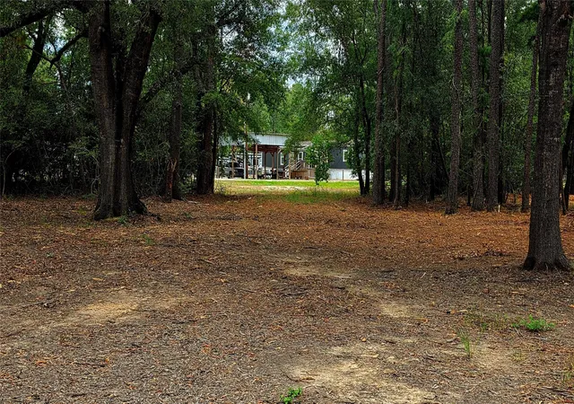 Photo 4 of Land for sale at Lot 4 Hidden Cvs Rd, Point Blank, TX 77364 | MLS# 25286208 | Listing updated on 2026-09-01