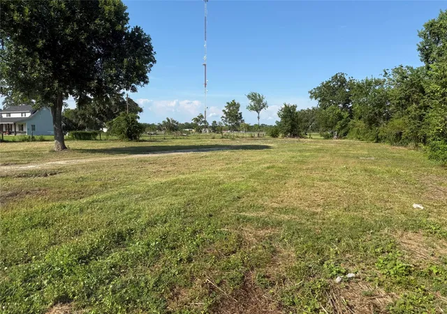 Photo 3 of Land for sale at 2100 County Rd 342, Brazoria, TX 77422 | MLS# 31125898 | Listing updated on 2026-09-25