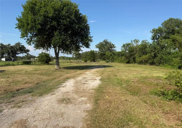 Photo 3 of Land for sale at 2100 County Rd 342, Brazoria, TX 77422 | MLS# 31125898 | Listing updated on 2026-09-25