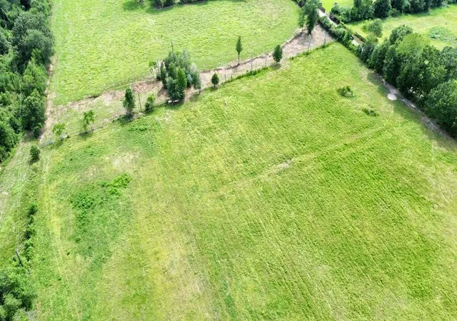 Photo 3 of Land for sale at 104ac County Rd 622, Kirbyville, TX 75956 | MLS# 67450586 | Listing updated on 2026-09-12