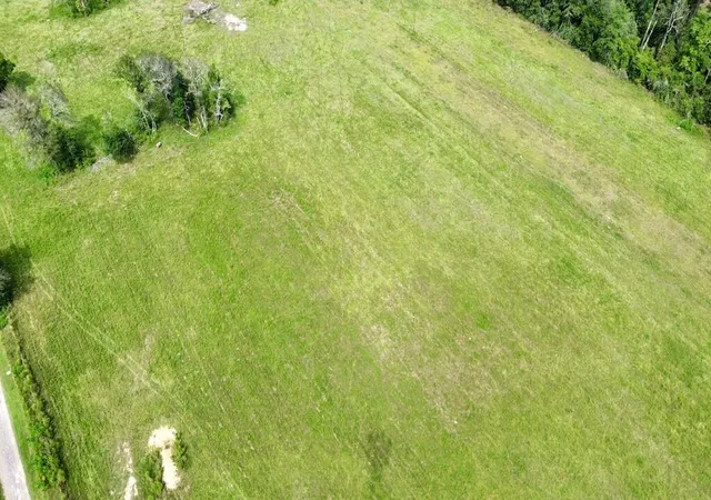 Photo 4 of Land for sale at 104ac County Rd 622, Kirbyville, TX 75956 | MLS# 67450586 | Listing updated on 2026-09-12