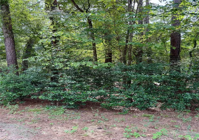 Photo 2 of Land for sale at 0 Cottonwood Cvs Ln, Spring, TX 77380 | MLS# 30288494 | Listing updated on 2026-10-06