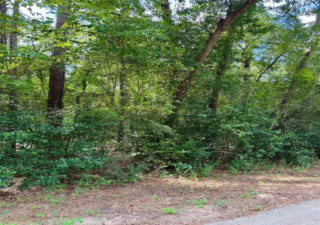 Photo 3 of Land for sale at 0 Cottonwood Cvs Ln, Spring, TX 77380 | MLS# 30288494 | Listing updated on 2026-10-06
