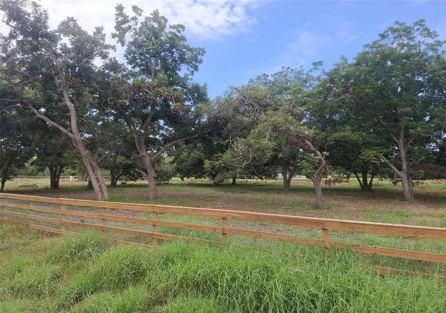 Land for sale at 315 Pony Ln, Wallis, TX 77485 | MLS# 71946827
