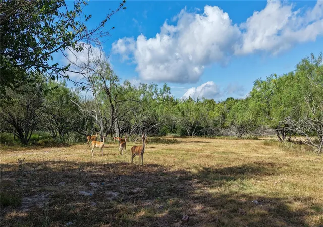 Photo 3 of Land for sale at Tract 3 Tbd Mensik Rd, Bryan, TX 77808 | MLS# 13157025 | Listing updated on 2026-09-03
