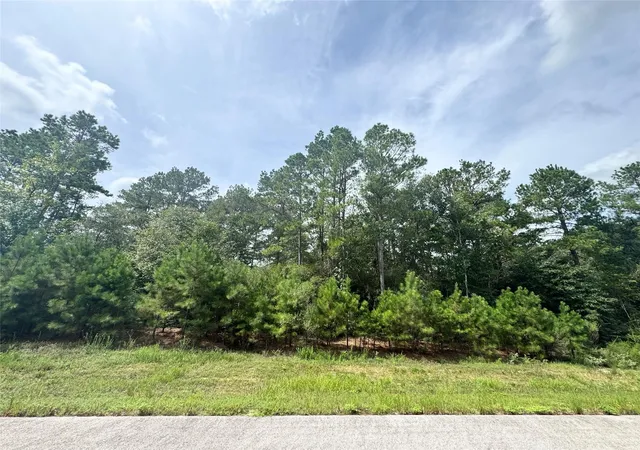 Photo 2 of Land for sale at 5 27 10 Falcon Ct, Huntsville, TX 77340 | MLS# 13203601 | Listing updated on 2026-09-18