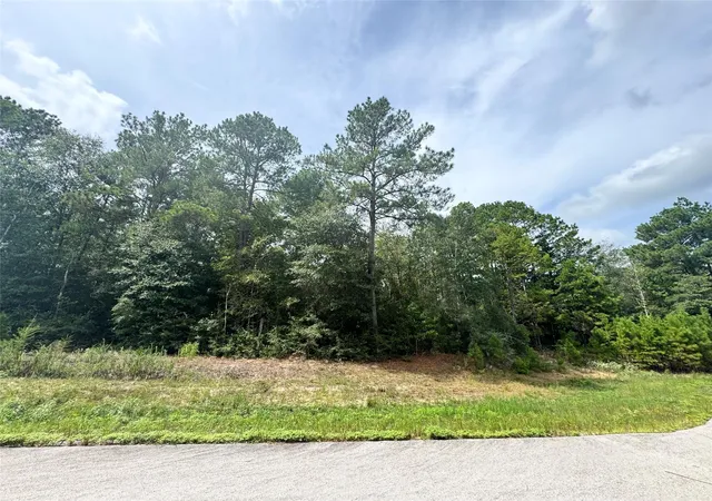 Photo 3 of Land for sale at 5 27 10 Falcon Ct, Huntsville, TX 77340 | MLS# 13203601 | Listing updated on 2026-09-18