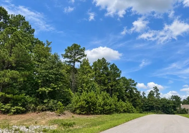 Photo 3 of Land for sale at 5-27-10 Falcon Ct, Huntsville, TX 77340 | MLS# 13203601 | Listing updated on 2026-09-18