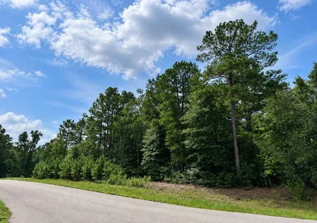 Photo 4 of Land for sale at 5-27-10 Falcon Ct, Huntsville, TX 77340 | MLS# 13203601 | Listing updated on 2026-09-18